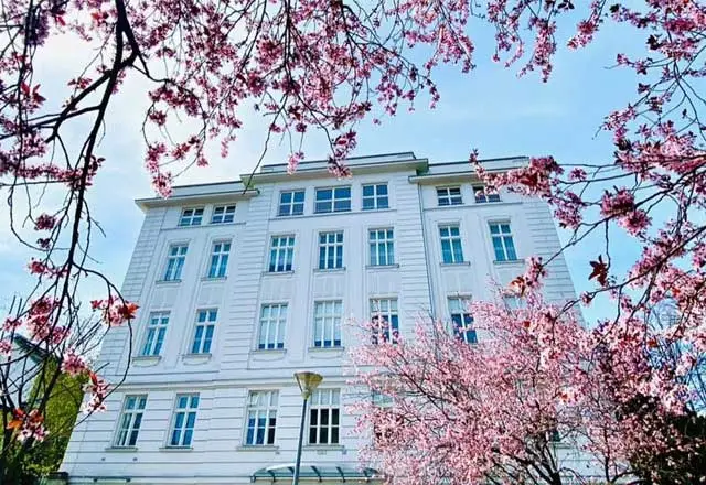 Avusturya