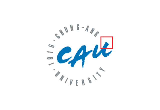 Chung Ang University