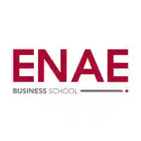 Enae International Business School