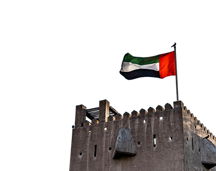 Dubai'de Üniversite Okumak