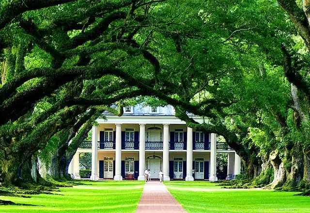 Louisiana Language Schools