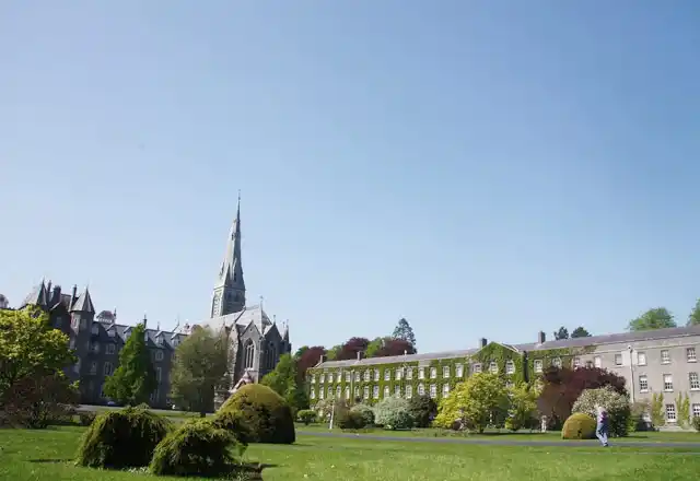 Maynooth Language Schools