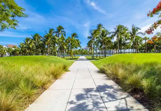 Miami Language Schools