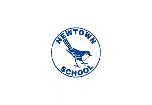 Newtown School (Mli)