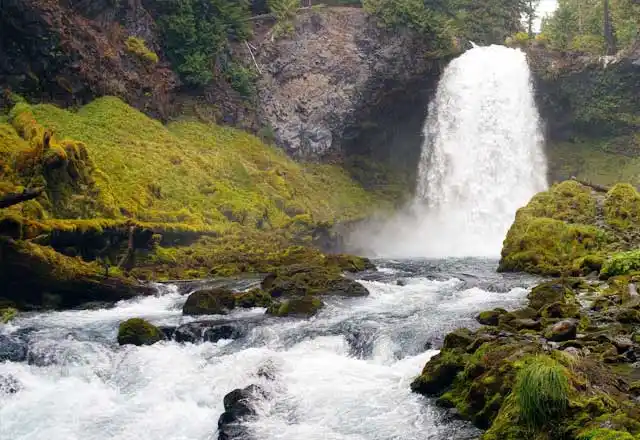 Oregon Language Schools