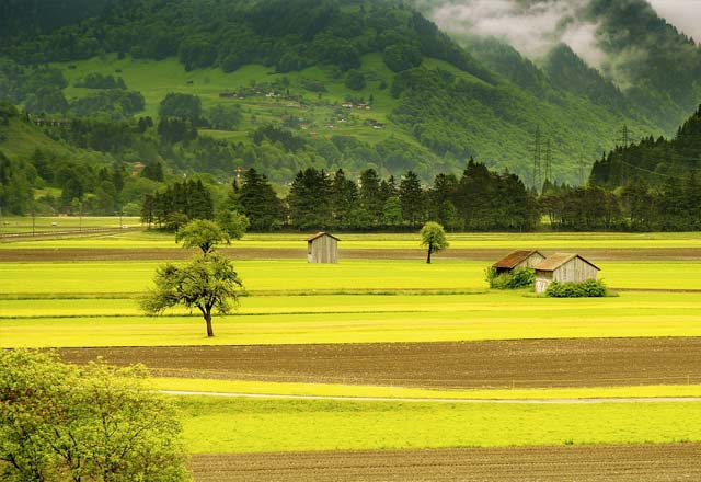 Port-Valais Dil Okulları