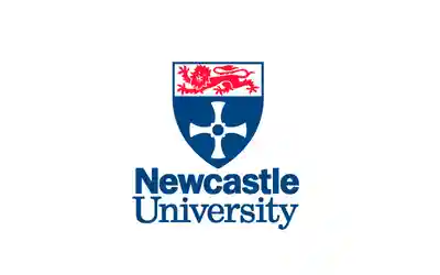 The University of New Castle