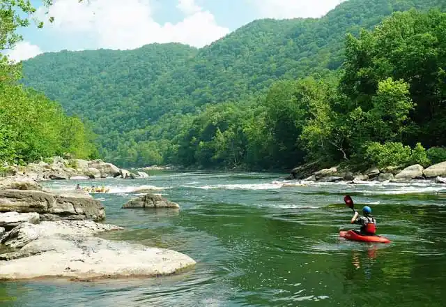 West Virginia Language Schools