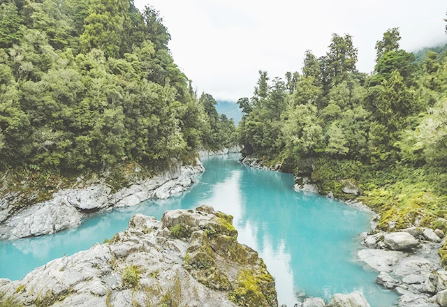 Yeni Zelanda Dil Okulları